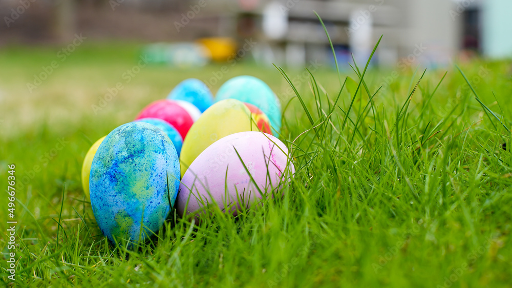 Fototapeta premium Multicolored Easter eggs ready for egg hunt