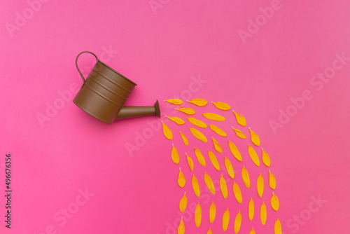 Brown metal watering can with water stream made of Yellow petals against a pink background. Flat lay concept.