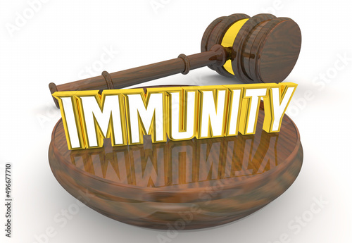 Immunity from Prosecution Judge Gavel Criminal Court Case Protection 3d Illustration