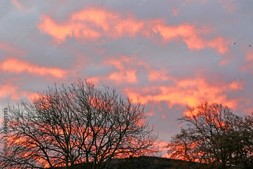Winter sunrise in Fife, Scotland
Winter sunrise in Fife, Scotland