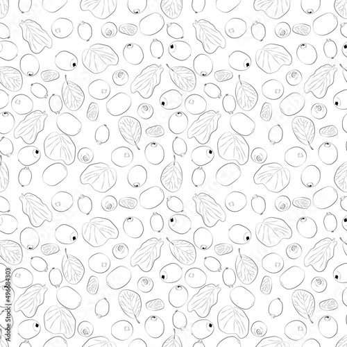Kiwi isolated on white background with clipping path. A set of seamless patterns with kiwi. Vector graphics  1000x1000.