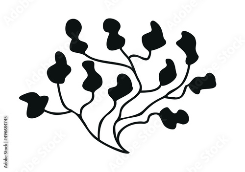  black seaweed branch on a white background. Algae logo, algae icon