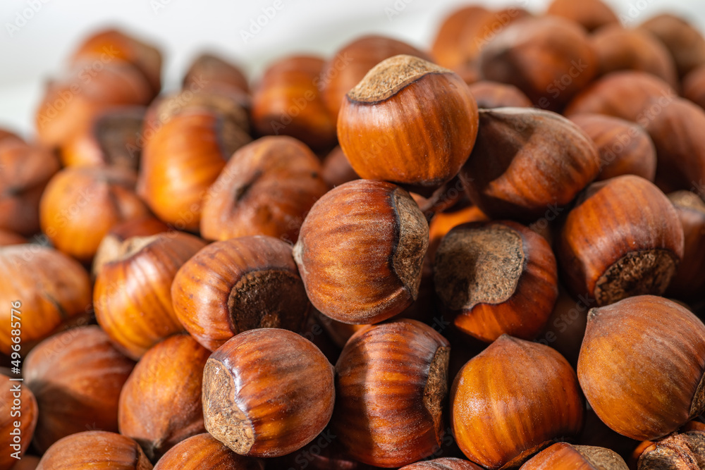 Hazelnuts in the shell. Round filbert, ripe fruit of a Corylus avellana hazel shrubs. Hazelnuts in the shell. Round filbert, ripe fruit of a Corylus avellana hazel shrubs.