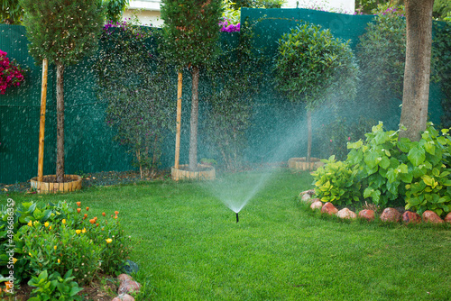 Automatic sprinkler watering in the garden