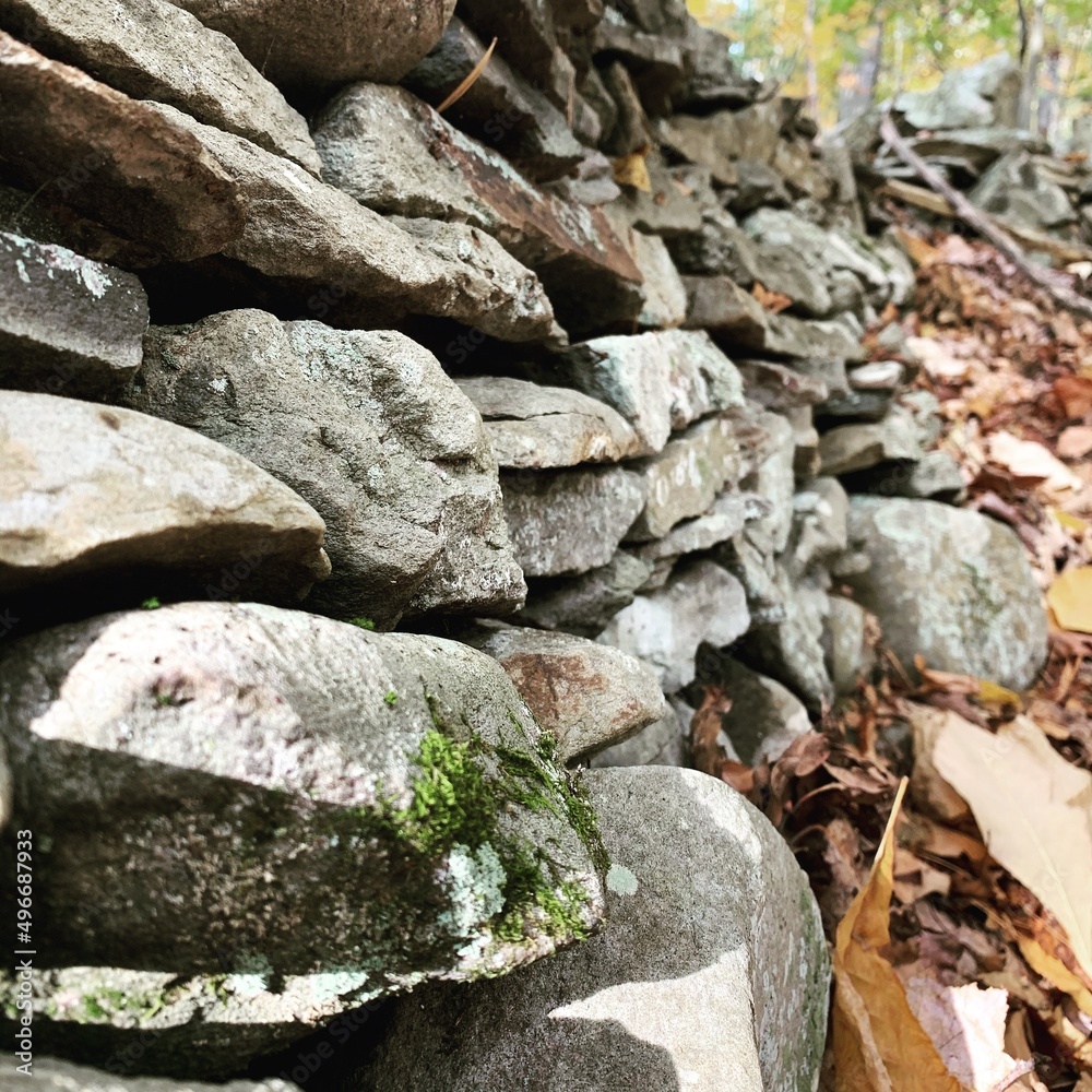 Stone wall or rock ledge with fall foliage Stone wall or rock ledge with fall foliage