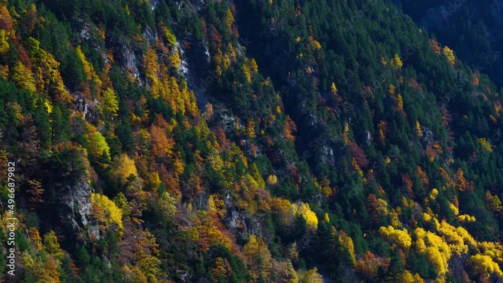 Surroundings of the Urdiceto Ravine and the Bielsa Valley on the Barrosa River. Mixed forest in autumn in the Pyrenees Mountains. Huesca Province, Aragon, Spain, Europe