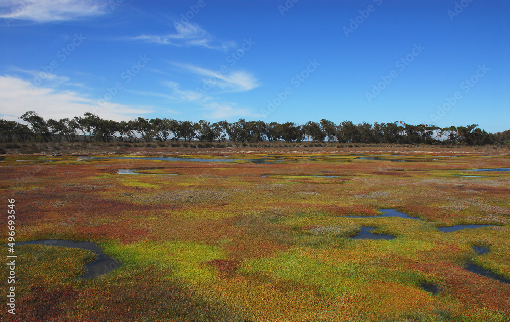 Fototapeta premium South Africa- Langebaan Lagoon- Beautifully Colorful Panorama