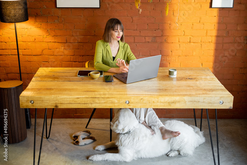 Young elegant woman works on laptop while sitting with her dog by the wooden table at cozy home. Remote work from home and spending time with pets photo