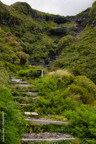Slika na platnu Walking trail with steps through the zone with subalpine scrubland on the volcan