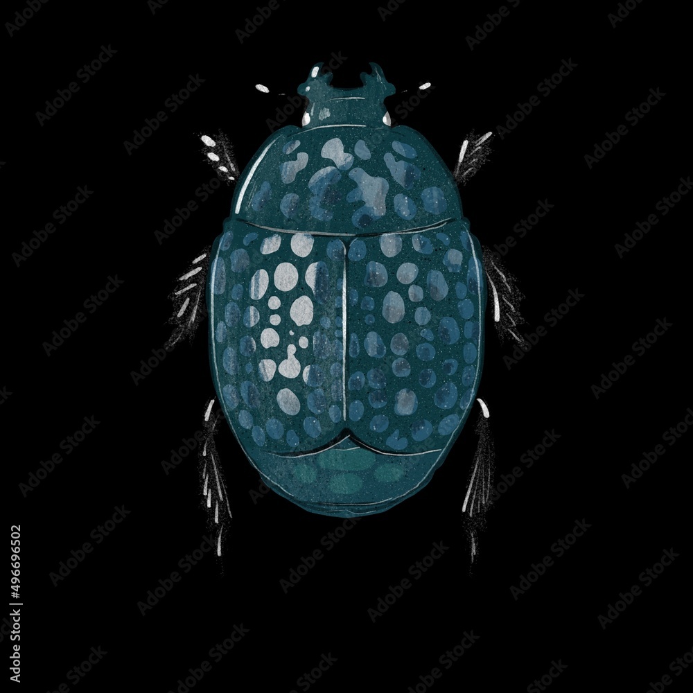 Fototapeta premium Margarinotus Scaber