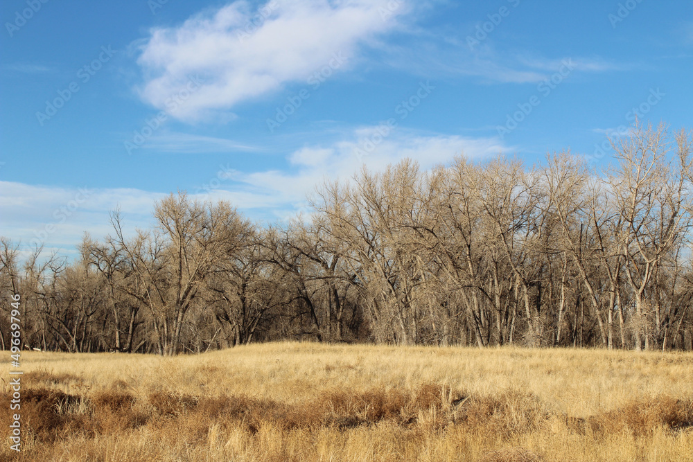 Rocky Mountain Arsenal National Wildlife Refuge Rocky Mountain Arsenal National Wildlife Refuge