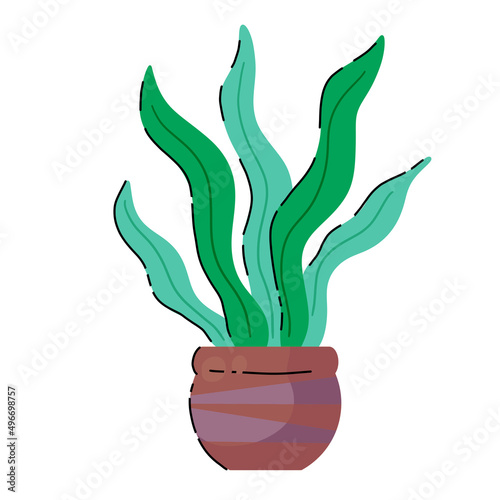Potted plant. Homemade Green leaves of houseplant. Brown pot and House decoration. Gardening and botany.