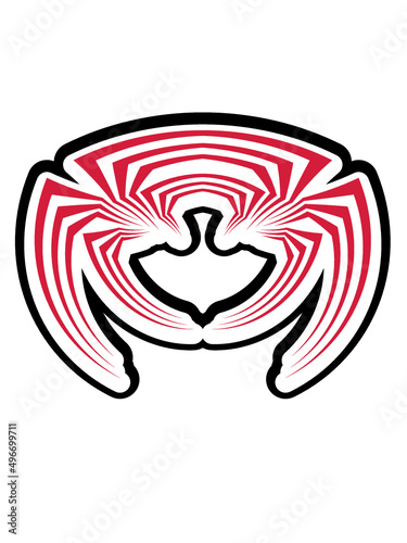 Illustration Streifen Spinne 
