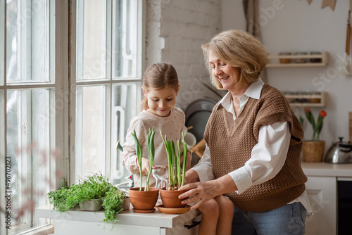 An elderly woman grandmother and a little girl granddaughter take care of and plant potted plants inside the house, do gardening in the spring for Earth Day
