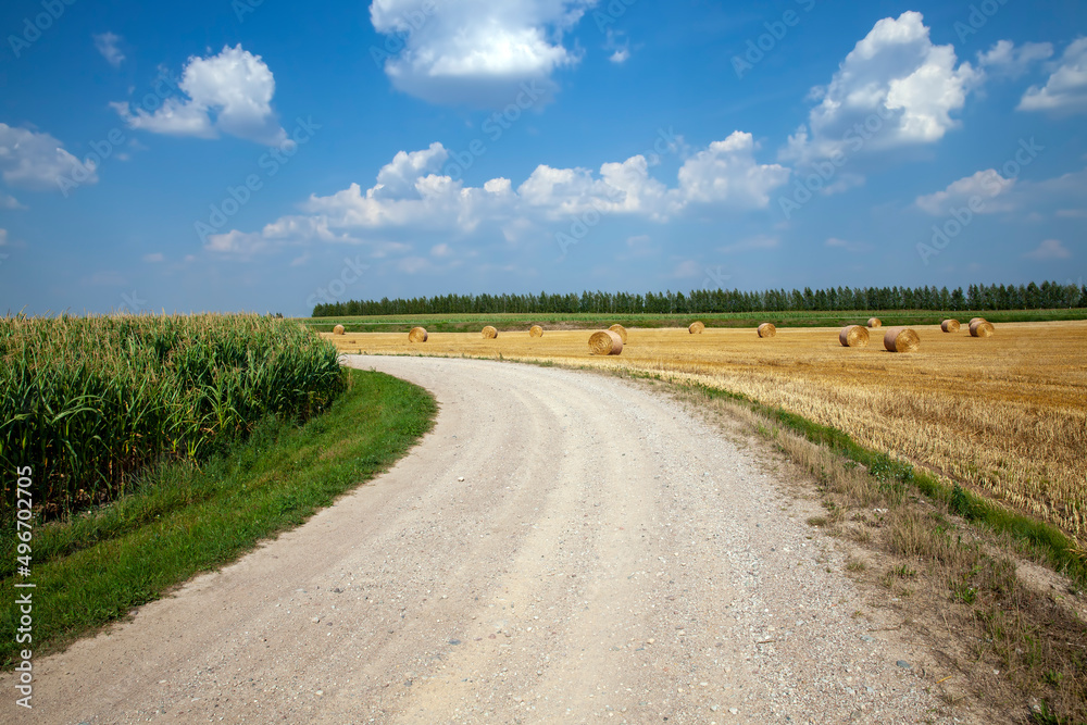 features on paved sandy road in rural area