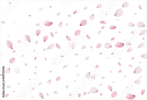 Sakura petals background. Cherry petals