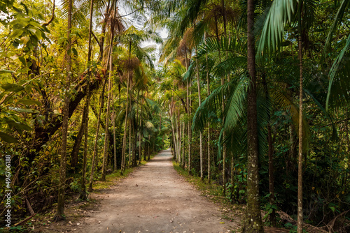 Path with tropical trees in Corrego Grande Municipal Park, Florianopolis