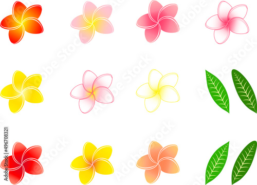カラフルなプルメリアの花と葉の、組み合わせイラストセット