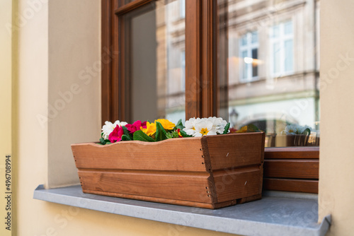 Close-up of a yellow wall with a wooden box with colorful flowers on a windowsill outside in Krakow, Poland