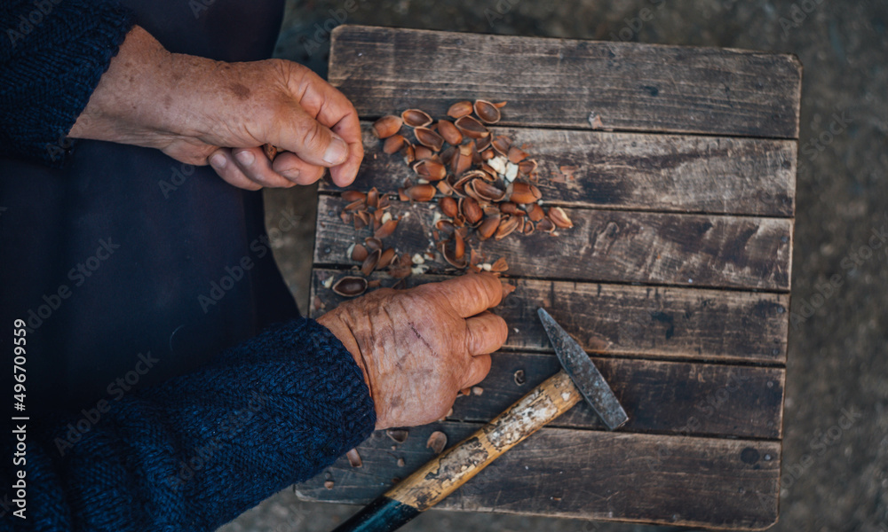 An old woman cracking hazelnuts outdoors during the day