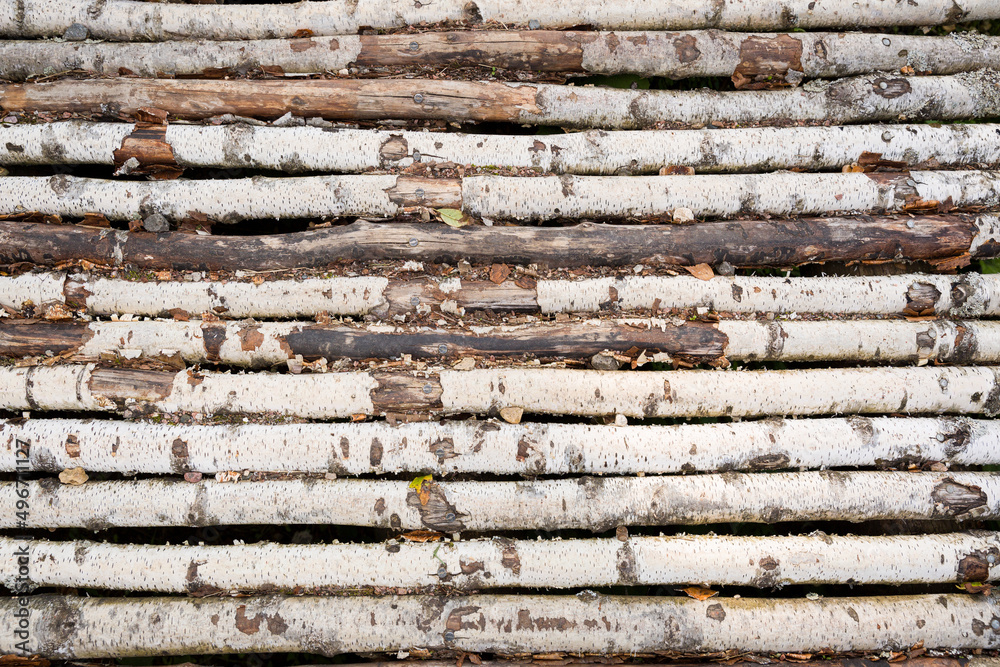 Birch trunks are stacked in a row. Bridge or hedge in a village Birch trunks are stacked in a row. Bridge or hedge in a village