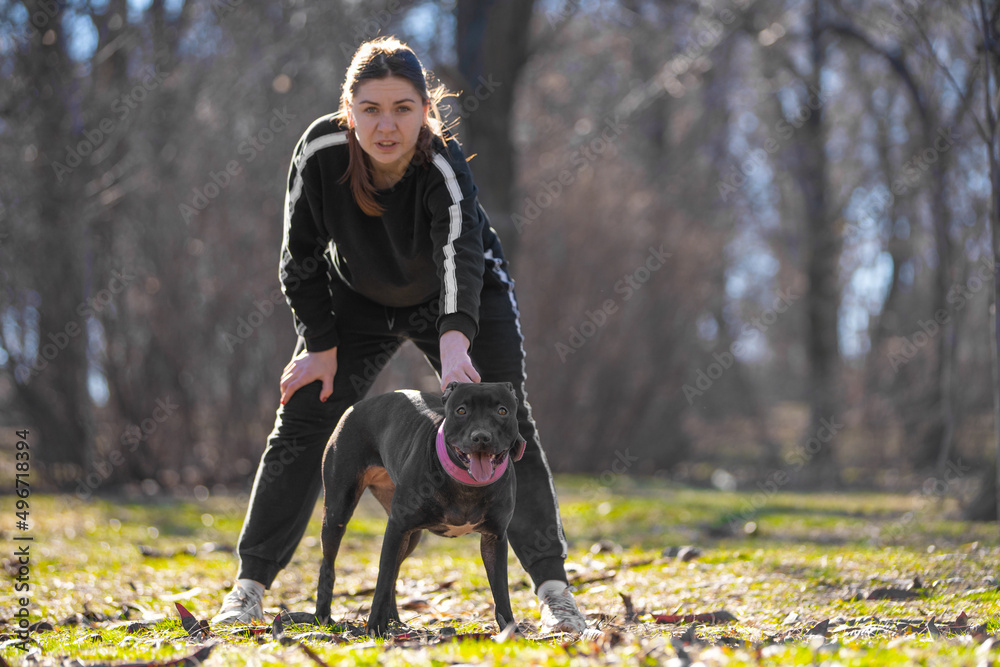 Young woman in sports costume holds active American pit bull terrier by cute pink collar, legs wide apart. Pet train or walk in park. Owner holds dog so that it does not run away without leash Young woman in sports costume holds active American pit bull terrier by cute pink collar, legs wide apart. Pet train or walk in park. Owner holds dog so that it does not run away without leash