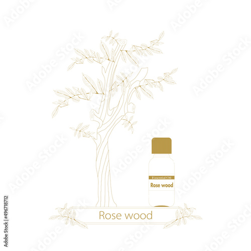 ローズウッドの線画・精油の瓶・ローズウッドのエッセンシャルオイル
