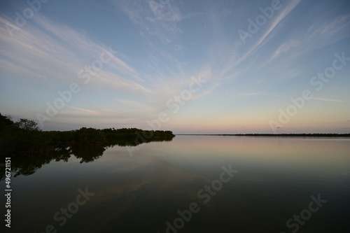 Ethereal high altitude clouds at dusk over West Lake in Everglades National Park  Florida