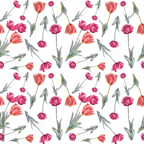 Fototapeta Naklejka Na Ścianę i Meble -  Seamless pattern watercolor red orange tulip with green leaves isolated on white background. Hand-drawn spring flower for celebration card march 8. Art for wallpaper wrapping sketchbook florist