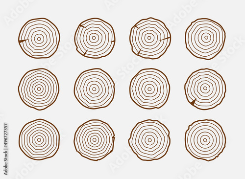 Tree growth rings wood trunk vector annual organic stump. Tree circle icon design