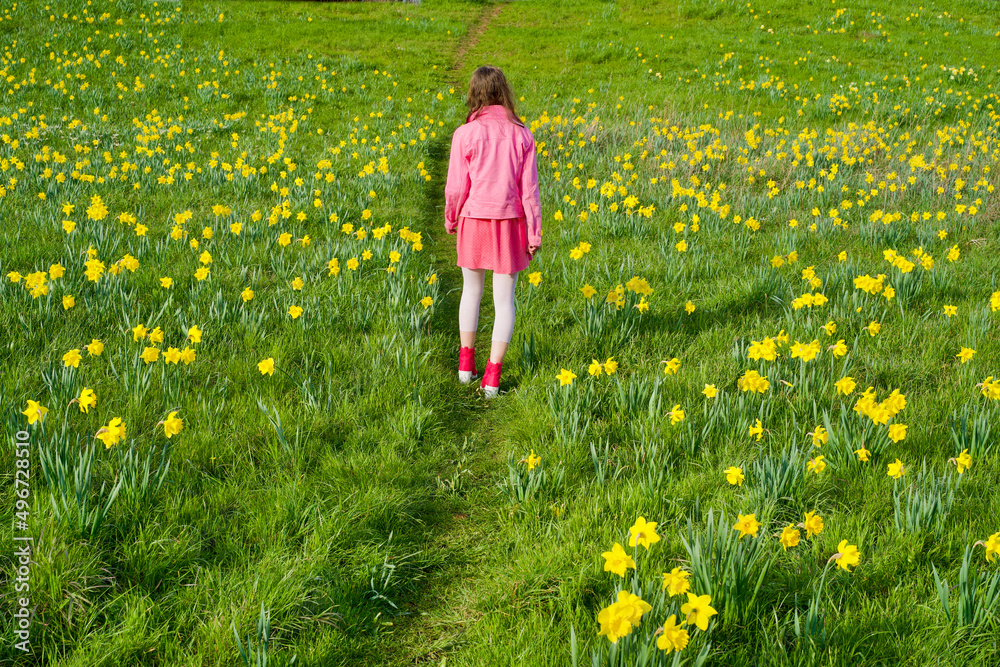 Fototapeta premium girl walking through field of yellow tulips