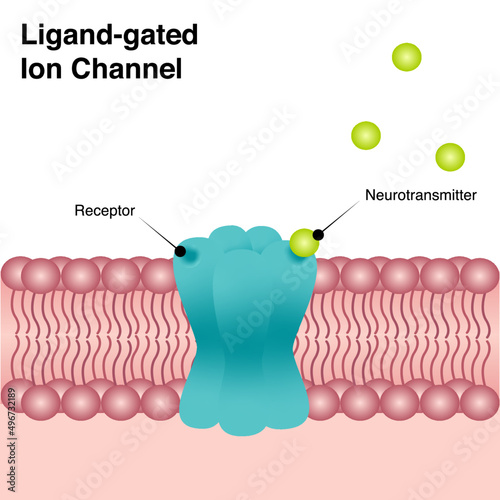 Ligand-gated ion channel diagram