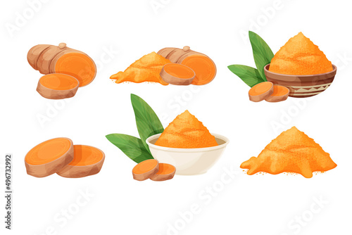 Set turmeric, curcuma dry powder in bowl, cup root in cartoon style isolated on white background. Homeopathy ingredient, aromatic Asian cuisine, close up