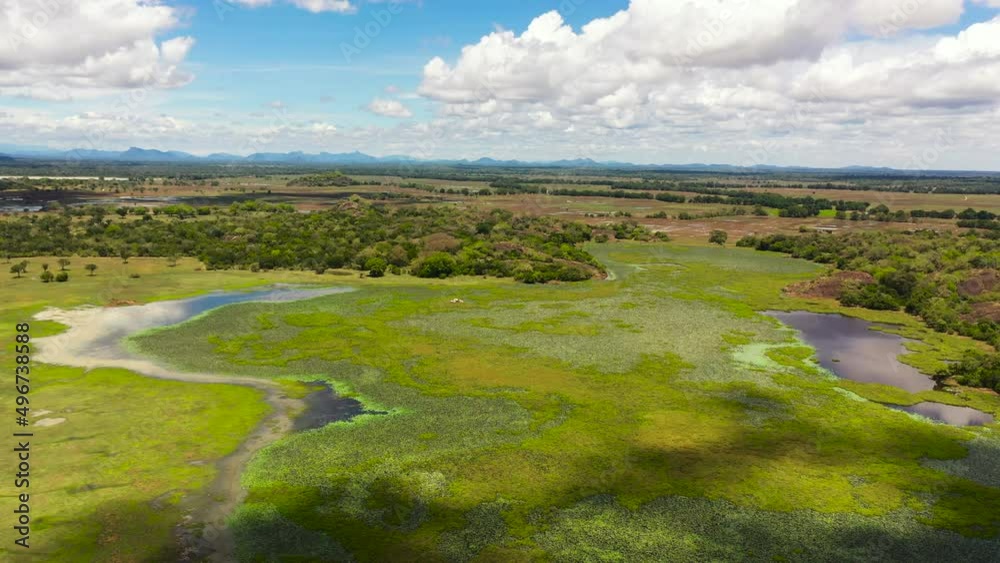 Aerial drone of rainforest and jungle surrounded by wetlands. National Park in Sri Lanka. Aerial drone of rainforest and jungle surrounded by wetlands. National Park in Sri Lanka.