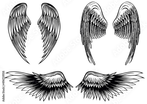 Abstract vector illustration wings set