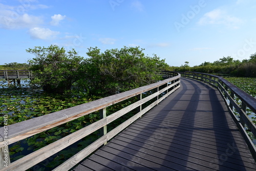 Anhinga Trail and boardwalk in Everglades National Park, Florida on sunny April morning. © Francisco