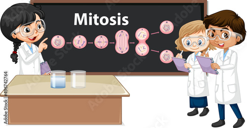 Scientist kids learning mitosis science photo
