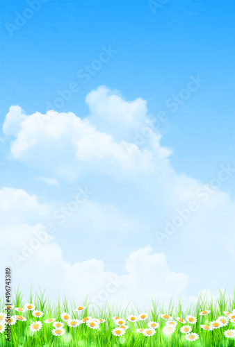 草原　花　風景　背景