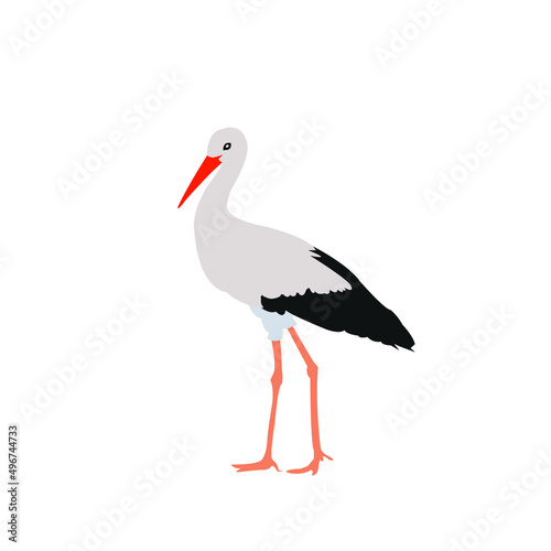 stork birds vector illustration 