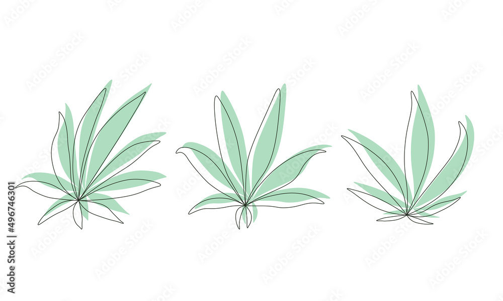 Fototapeta premium Set of Cannabis leaf sign logo.
