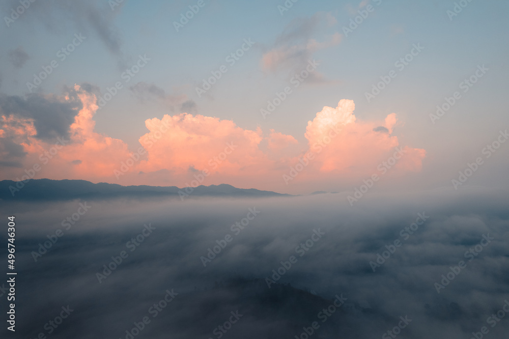 landscape, summer scenery on the mountain in the evening