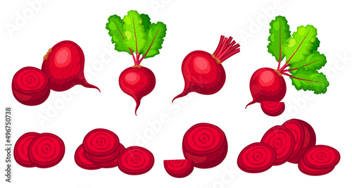 Set of fresh red beets in cartoon style. Vector illustration of vegetables whole and cut into slices and halves, with a leaf on white background.