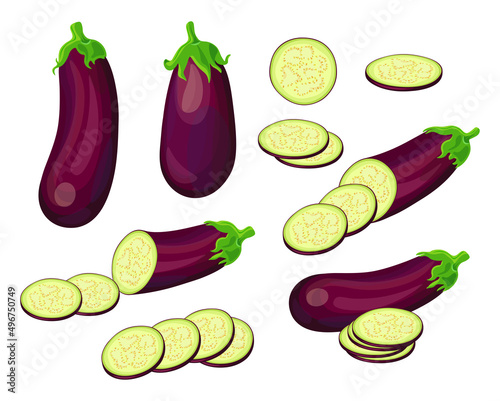 Set of fresh eggplant in cartoon style. Vector illustration of vegetables whole and cut into slices and halves, large and small sizes on white background.