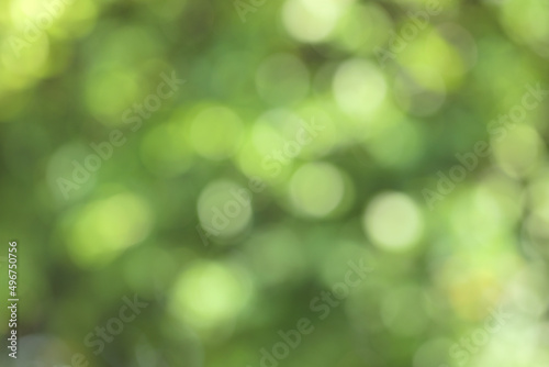 Abstract blurred green nature on daylight background, greenery season