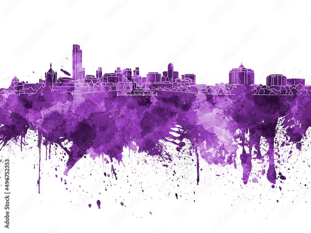 Albany skyline in purple watercolor on white background
