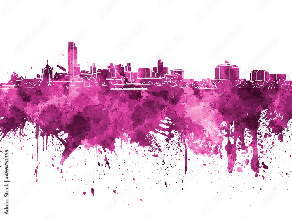 Albany skyline in pink watercolor on white background