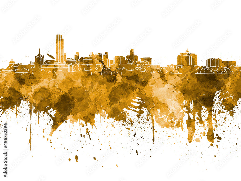 Albany skyline in orange watercolor on white background