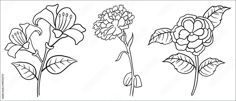 Hand drawn flower coloring page line art vector blank printable design ...