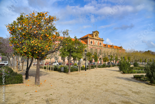 Plaça de Joan Fiveller in Barcelona / Spanien photo