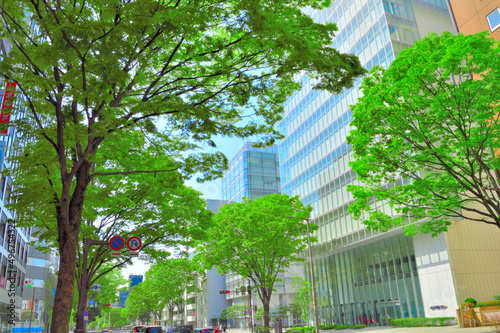 仙台市市街地